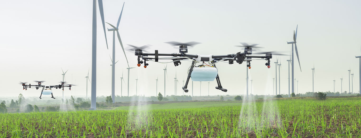 Innovación en la agropecuria