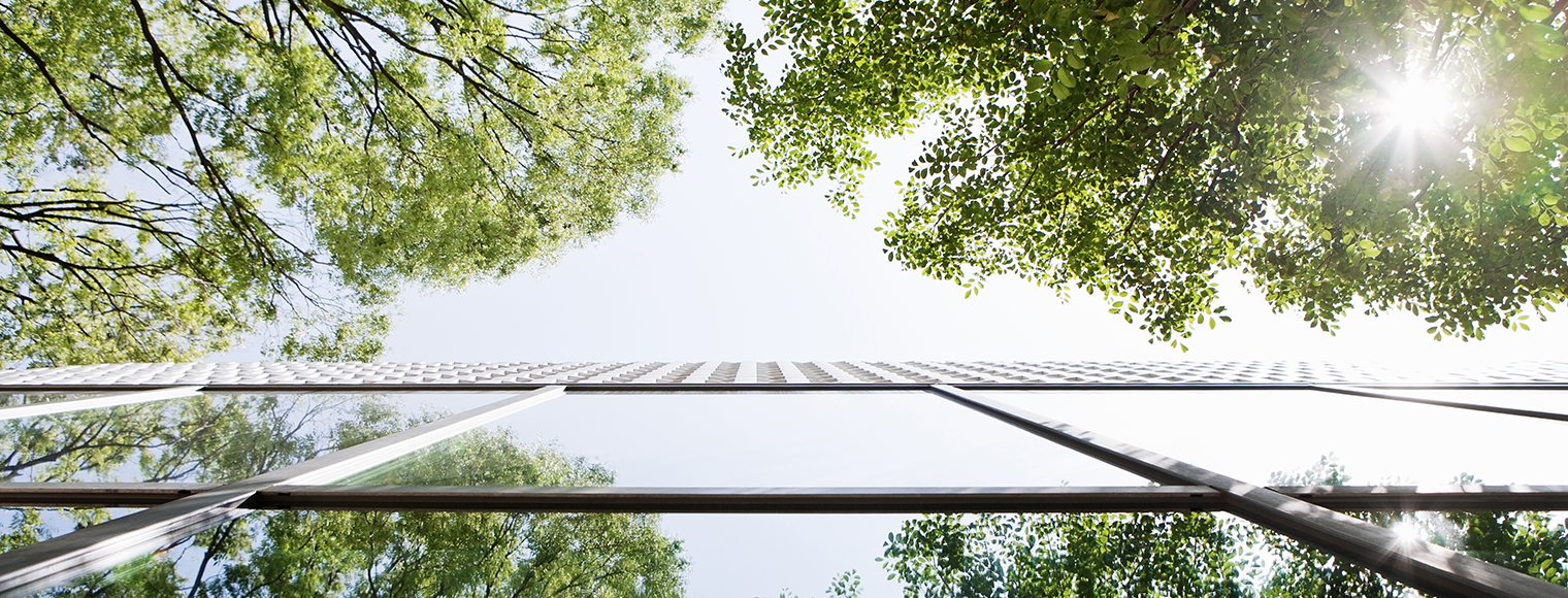 Bonos verdes Bonos verdes