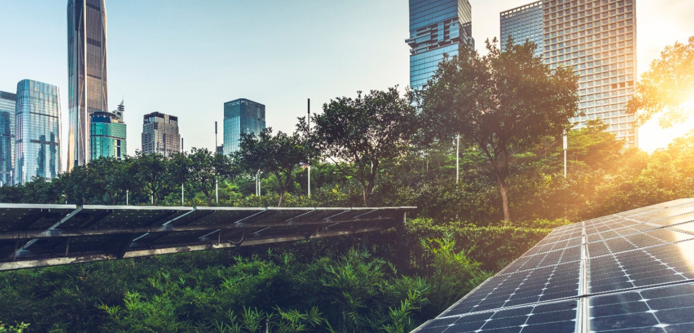 La transición climática como motor de valor para las empresas en México