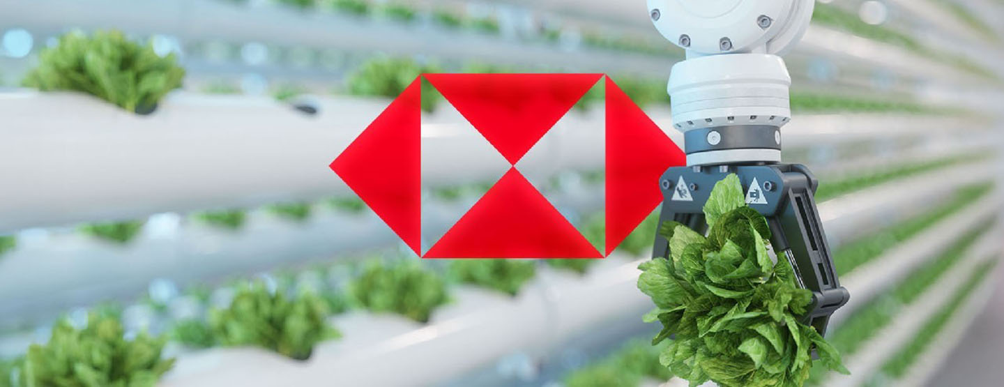 Ganadores 2025 banner